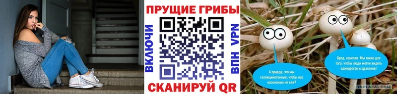 Галлюциногенные грибы Magic Shrooms  Баксан 