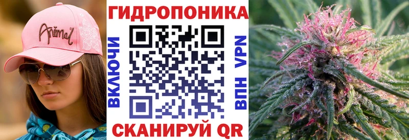 Бошки марихуана планчик  купить наркоту  Баксан 